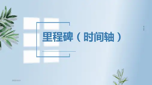 各种Timeline时间轴优秀模板课件