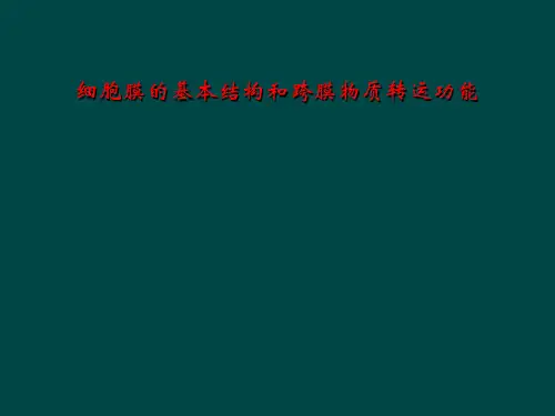 细胞膜的基本结构和跨膜物质转运功能