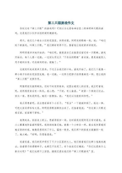 第三只眼游戏作文