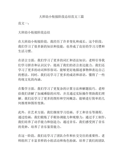 大班幼小衔接阶段总结范文三篇