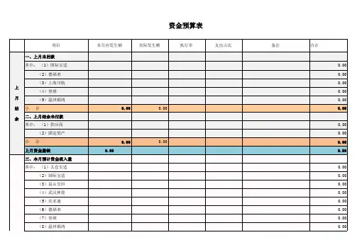 资金预算表模板