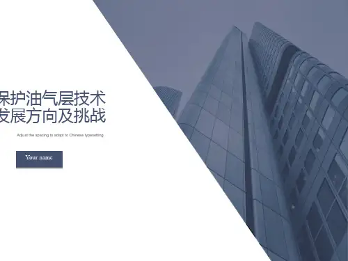 保护油气层技术发展方向及挑战