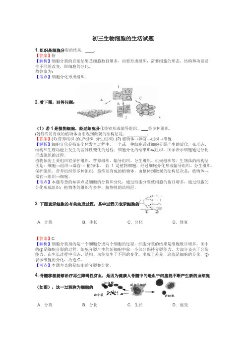初三生物细胞的生活试题
