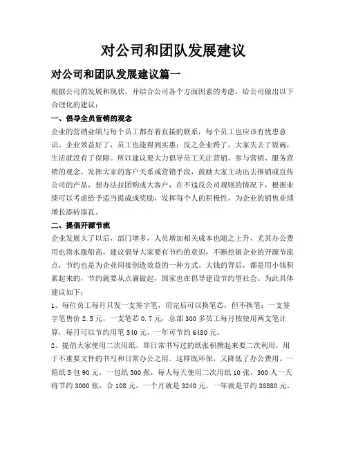 对公司和团队发展建议