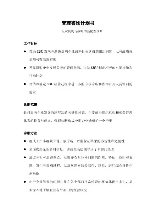企业诊断计划书