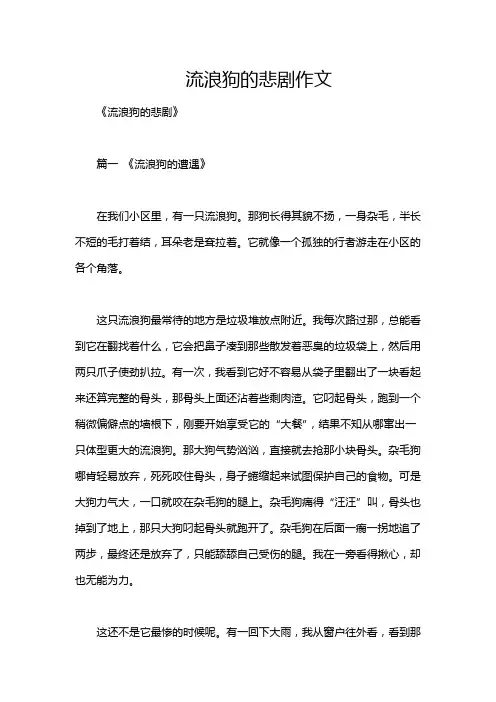 流浪狗的悲剧作文