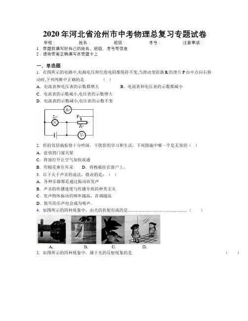 2020年河北省沧州市中考物理总复习专题试卷附解析