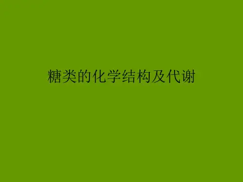 第八章糖类的化学结构及代谢