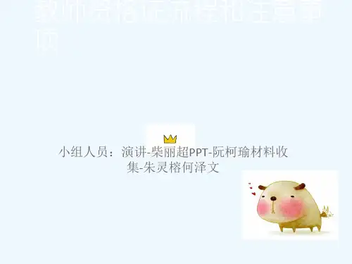 教师资格证报名流程