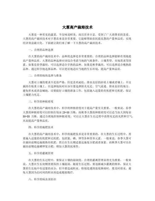大葱高产栽培技术