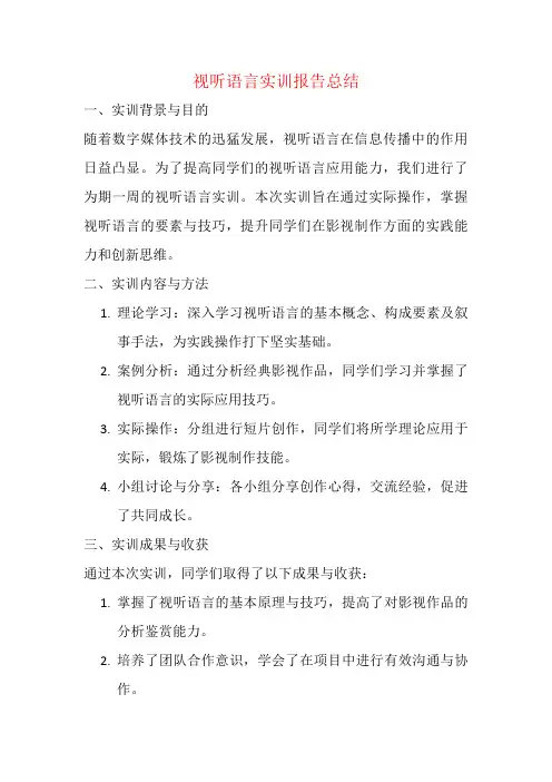 视听语言实训报告总结
