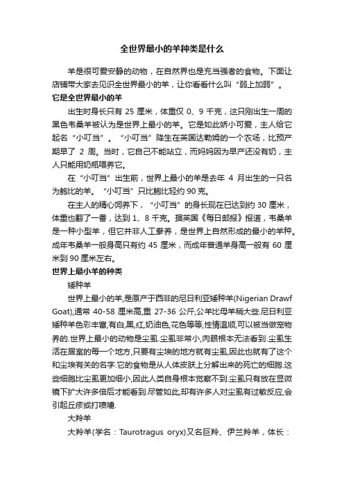 全世界最小的羊种类是什么