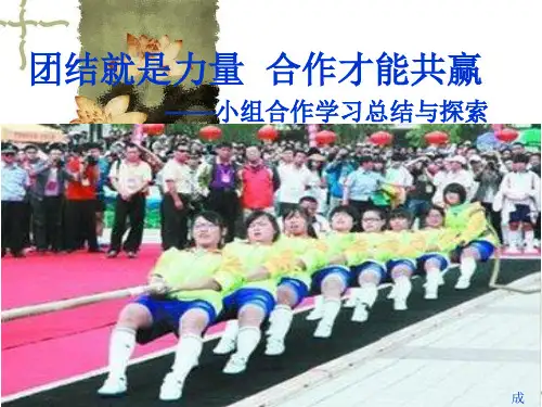19班小组合作主题班会精编版