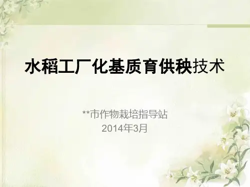 水稻工厂化基质育秧