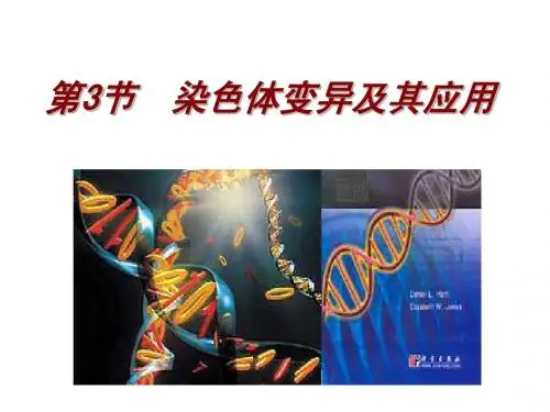 第三节_染色体变异及其应用