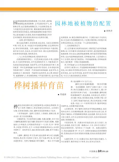 园林地被植物的配置