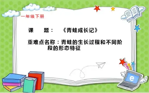 青蛙成长记 课件(共15张PPT)