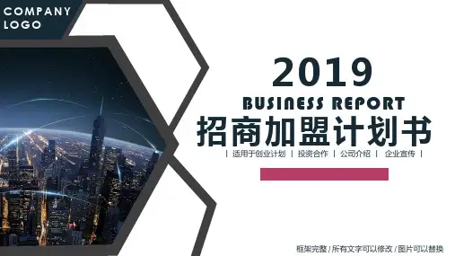 电视剧招商方案PPT