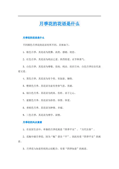 月季花的花语是什么