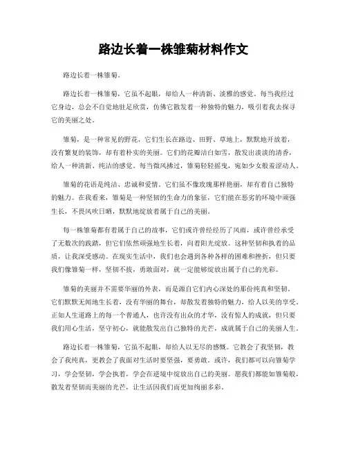 路边长着一株雏菊材料作文