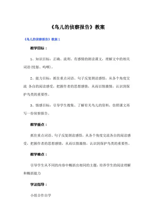 《鸟儿的侦察报告》教案