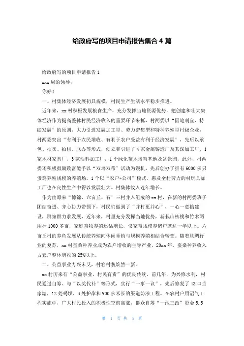 给政府写的项目申请报告集合4篇