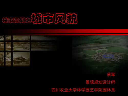 城市风貌