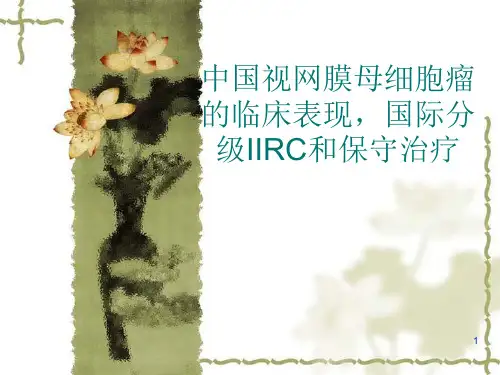 中国视网膜母细胞瘤的临床表现国际分级IIRC和保守治疗精品PPT课件