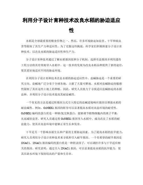 利用分子设计育种技术改良水稻的胁迫适应性