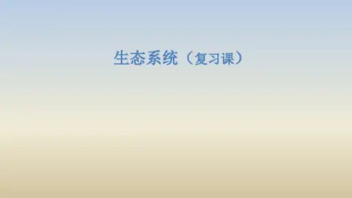 生态系统复习课