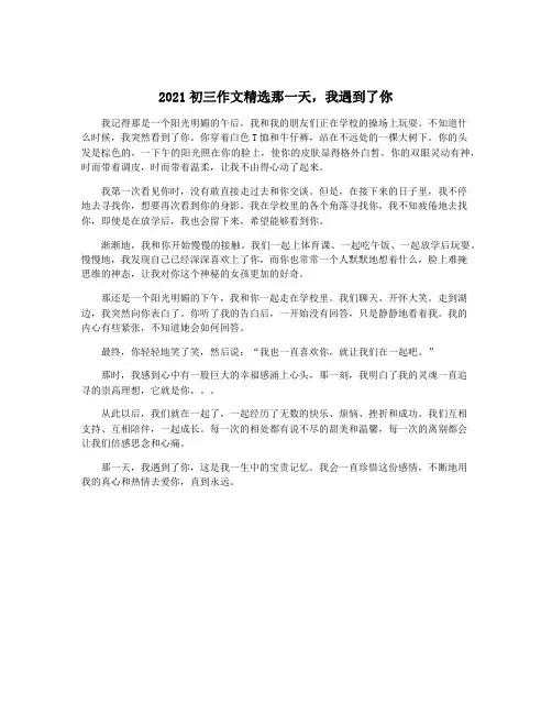 2021初三作文精选那一天,我遇到了你