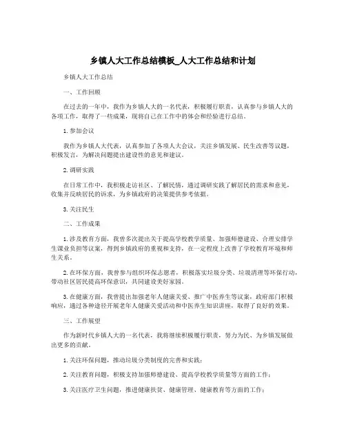 乡镇人大工作总结模板_人大工作总结和计划