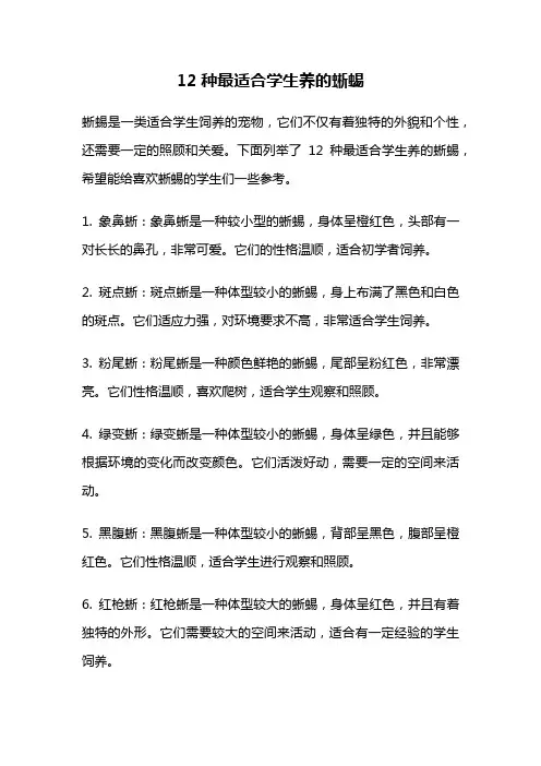 12种最适合学生养的蜥蜴
