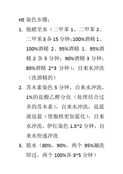 HE染色、免疫组化