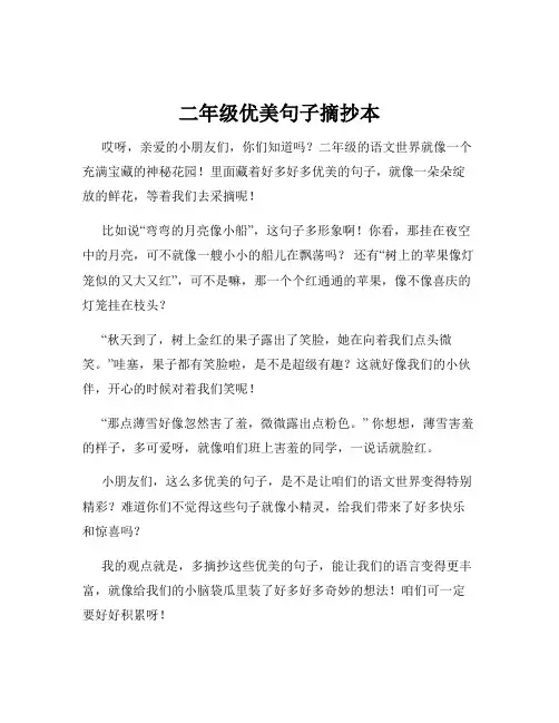 二年级优美句子摘抄本