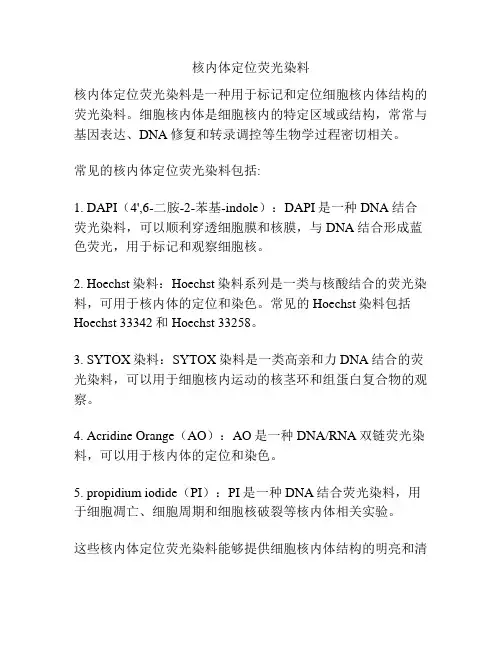 核内体定位荧光染料