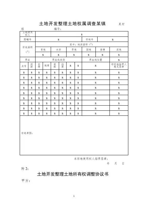 土地开发整理土地权属调查表【表格模板】