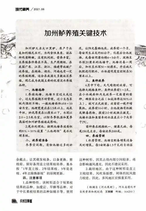 加州鲈养殖关键技术