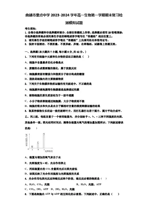 曲靖市重点中学2023-2024学年高一生物第一学期期末复习检测模拟试题含解析