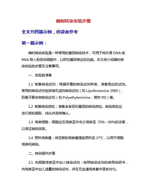 瞬时转染实验步骤
