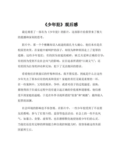 《少年犯》观后感