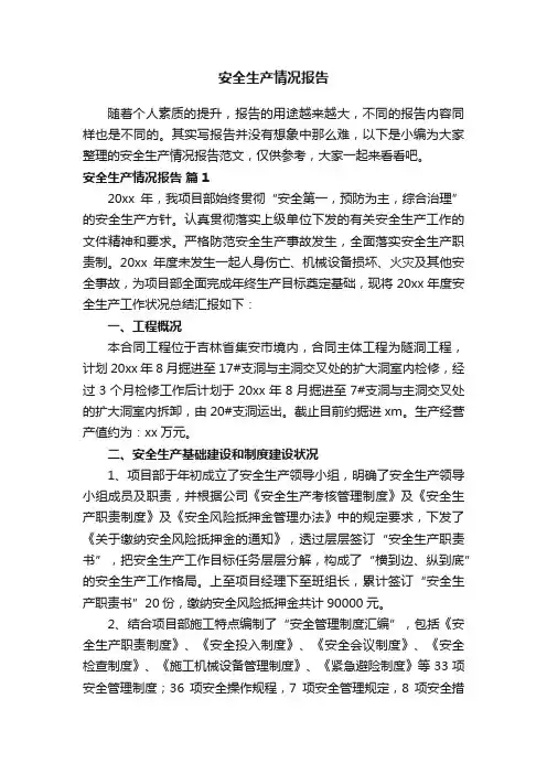 安全生产情况报告范文（精选8篇）