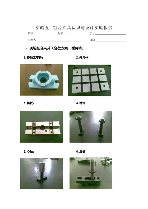 实验报告