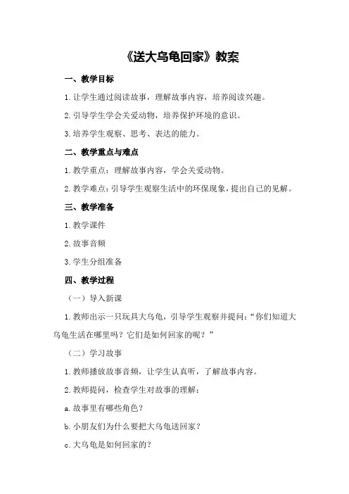 《送大乌龟回家》教案