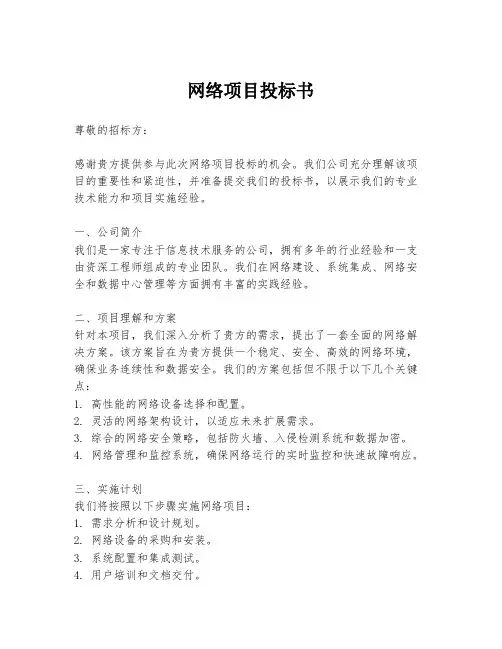 网络项目投标书