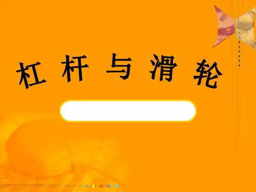 杠杆和滑轮复习ppt课件