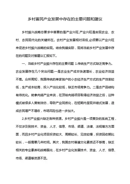 乡村富民产业发展中存在的主要问题和建议