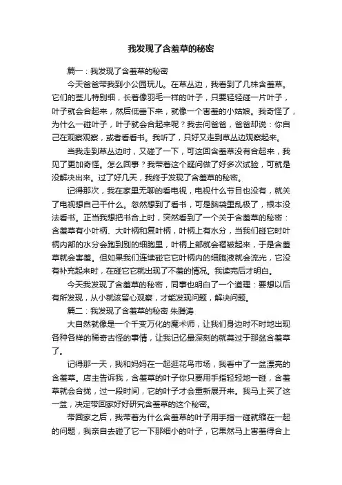 我发现了含羞草的秘密