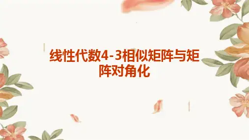 线性代数4-3相似矩阵与矩阵对角化