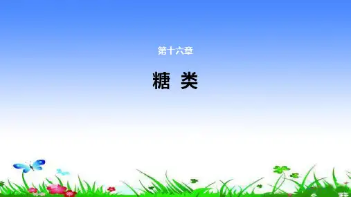 单糖和多糖-糖类